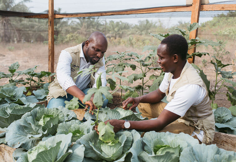 Food For Life development